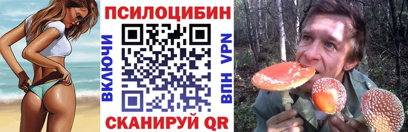 наркотики  Окуловка  Псилоцибиновые грибы ЛСД 